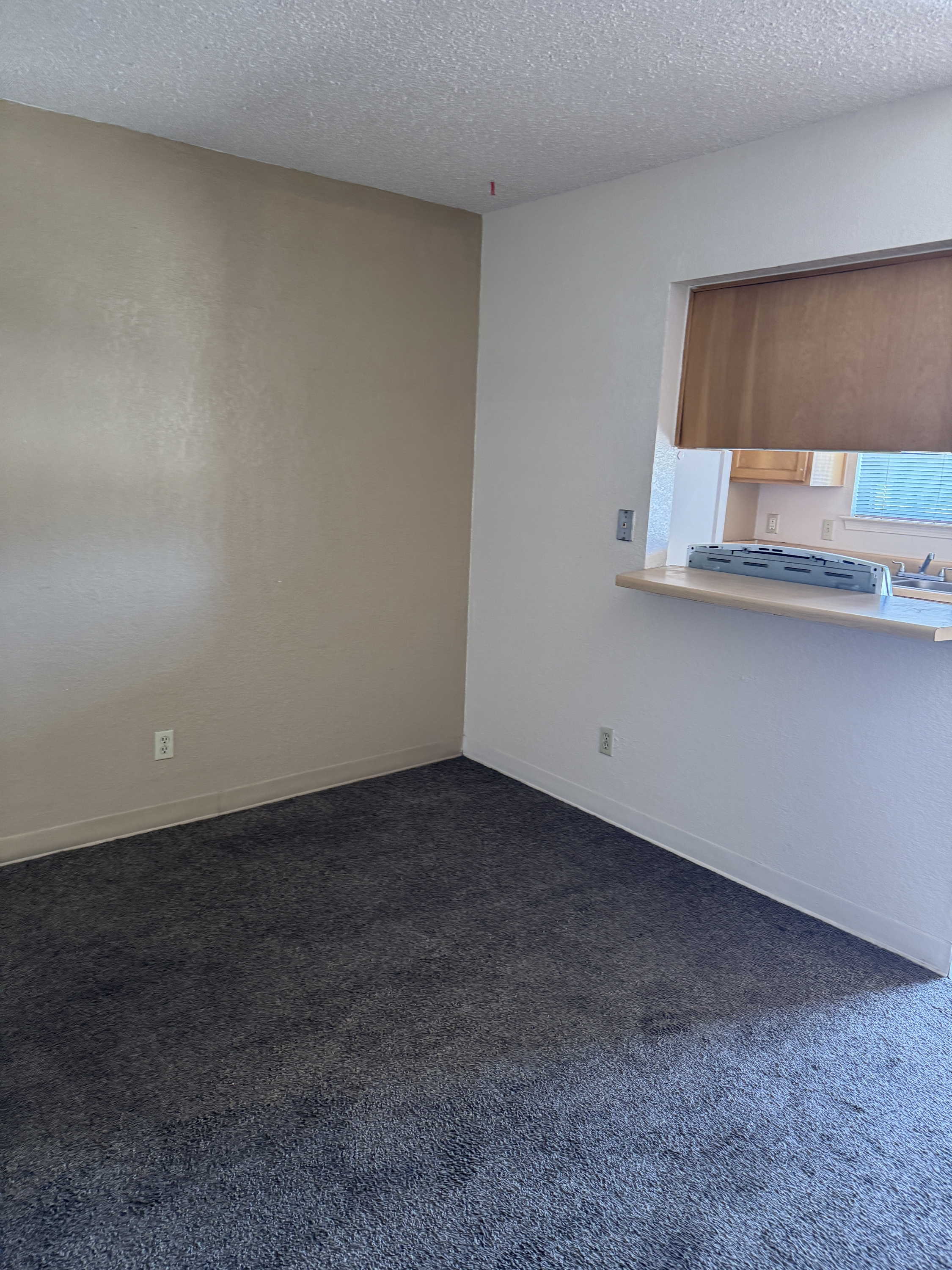 13340 Horizon Boulevard #12